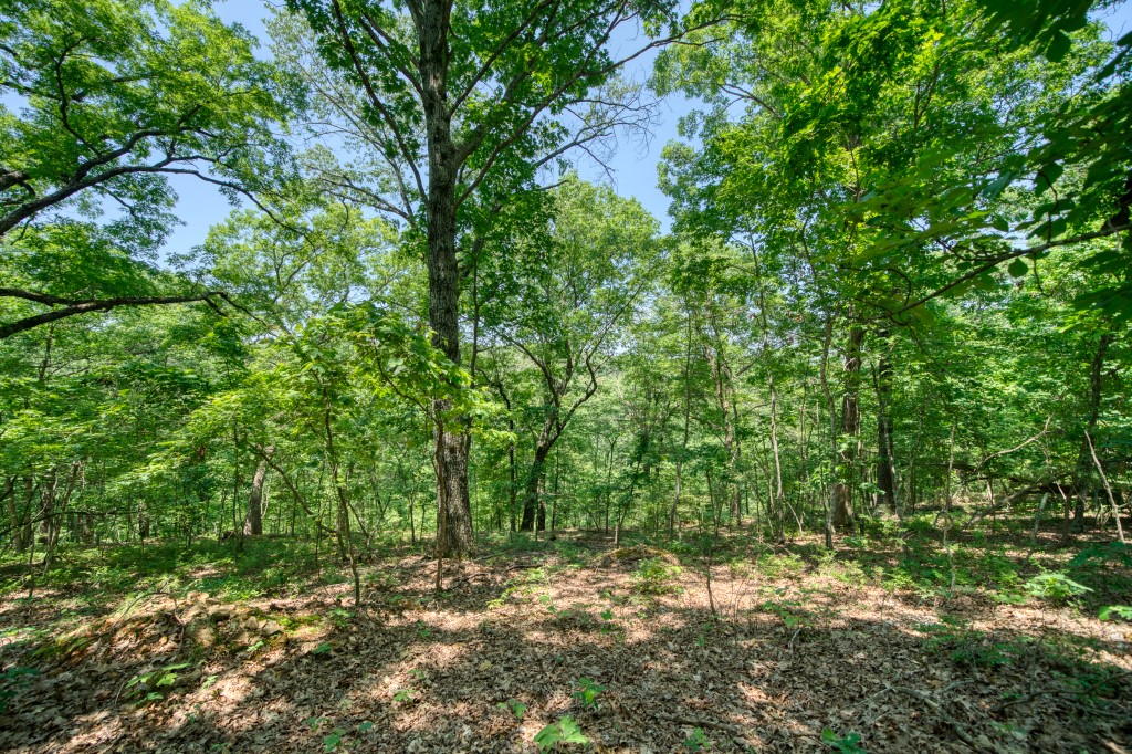 Hidden Valley Ranch Estates - Land