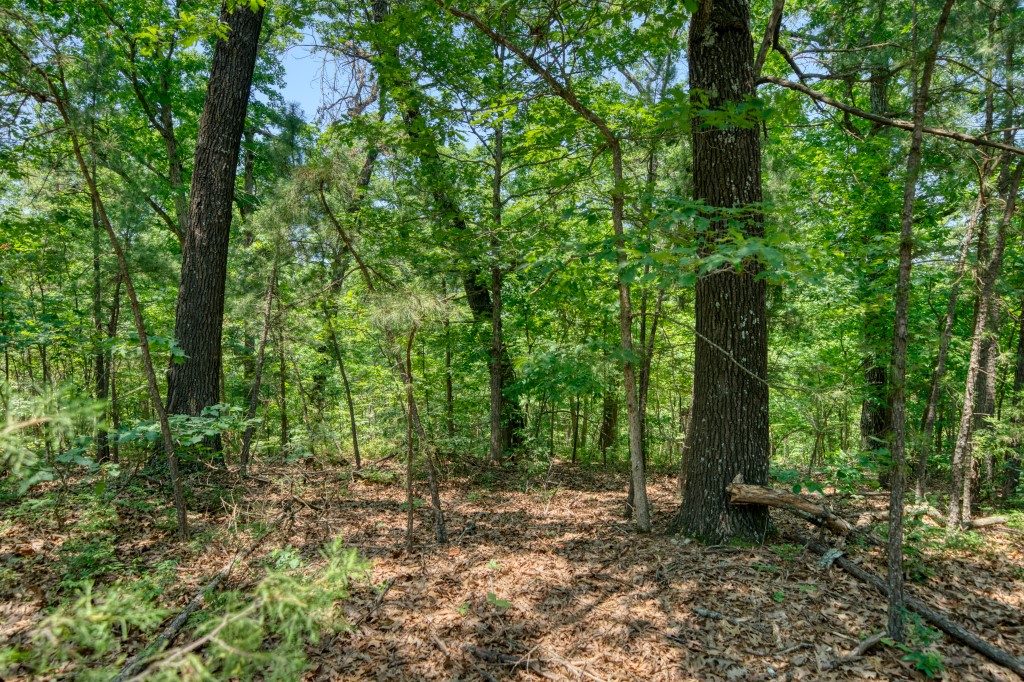 Hidden Valley Ranch Estates - Land