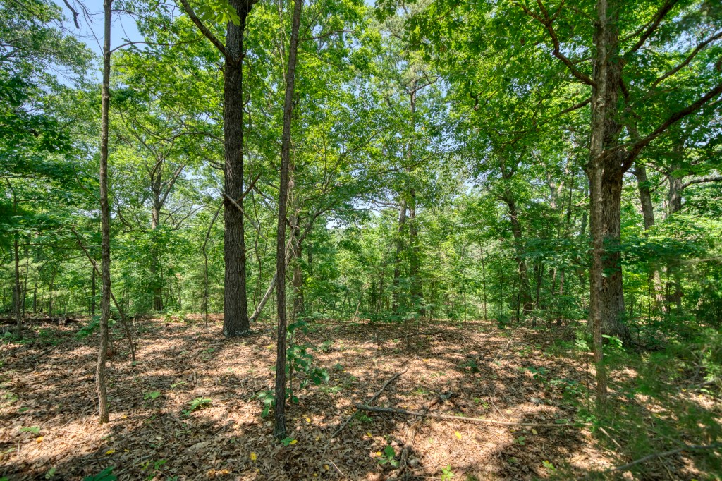 12 acres of opportunities! Located in an area of few houses, these four tracts add up to over 12 acres. Selective tree clearing could yield a nice view of the valley and a feeling of living in the tree canopy. Utilize Beaver Lake, the White River, and Eureka Springs but come home to your quiet spot in the woods! A three-bedroom septic permit is on file and electricity is at the street. Keep all four tracts for yourself or sell a couple off!