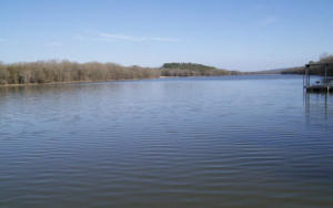 LAKEFRONT PROPERTY ON DUBLIN BAY! Come home to this cozy 1886 sq. ft. 3 bdrm, 2 bath home, the master suite is downstairs! Other features include a spiral staircase, walk in closets, security system, washer/dryer, kitchen appliances, enjoy your morning coffee and an evening cold drink on your wrap around porch listening to nature. Other great features include a 1056 sq. ft 3 bay garage/shop with attached 2 bdrm, 2 bath efficiency apartment/living area (approx. 660 sq. ft), and 2 bay boat dock with a lift. This is a great place for everyday living or for family weekend getaways. Also, a great investment property. The home and/or the efficiency apartments could be vacation or weekend rentals. All this sits on 1.49 acres +/-