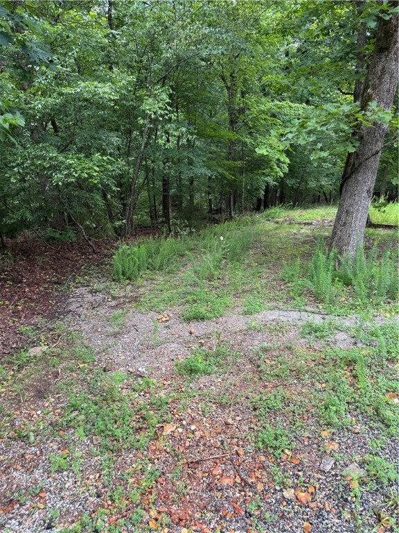 Build-Ready Lot in Quiet East Bella Vista Cul-de-Sac. Located at the end of a quiet cul-de-sac in one of East Bella Vista’s most desirable areas, this vacant lot offers a unique blend of privacy, convenience, and readiness for construction. Situated on a paved, dead-end road and surrounded by mature trees, the setting provides a peaceful retreat while still being close to all the amenities Bella Vista is known for. This property stands out with its full utility access — including city sewer, water, and electricity already at the site — offering a significant advantage for buyers looking to build without the added cost and complications of septic installation. Additional highlights include proximity to Bella Vista’s lakes, golf courses, trails, and recreational amenities, as well as location within the Bentonville School District.
