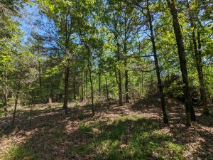 Discover your own slice of paradise with this expansive 2.5-acre forested lot, offering privacy and serenity just minutes from shopping and dining in Ozark, AR. In the heart of nature yet conveniently located, this unrestricted property is perfect for building your dream home, a weekend getaway, or even an investment property.Enjoy the best of both worlds--seclusion and accessibility--with electric and fiber internet available. With no restrictions, you have the freedom to create your vision--whether it's a cozy cabin, a homestead, or an RV retreat. Plus, owner financing is available at a higher price point, making it even easier to secure this incredible property.GPS Coordinates: 35.4135, -93.89276Reach out today for more details.