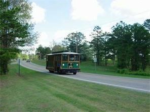 Large Commercial tract across from Passion Play Road entrance. This is one of the last large tracts available on Hwy. 62. Unusually large, level area on highway terrific for development. Agent has interest in property. For utilities and for connections to same, please verify with utility companies. Information subject to change.