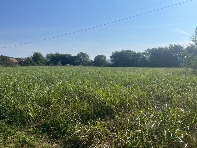 Farmington Outlots 2008 Annex - Land