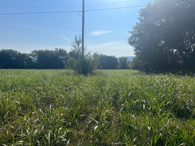Farmington Outlots 2008 Annex - Land