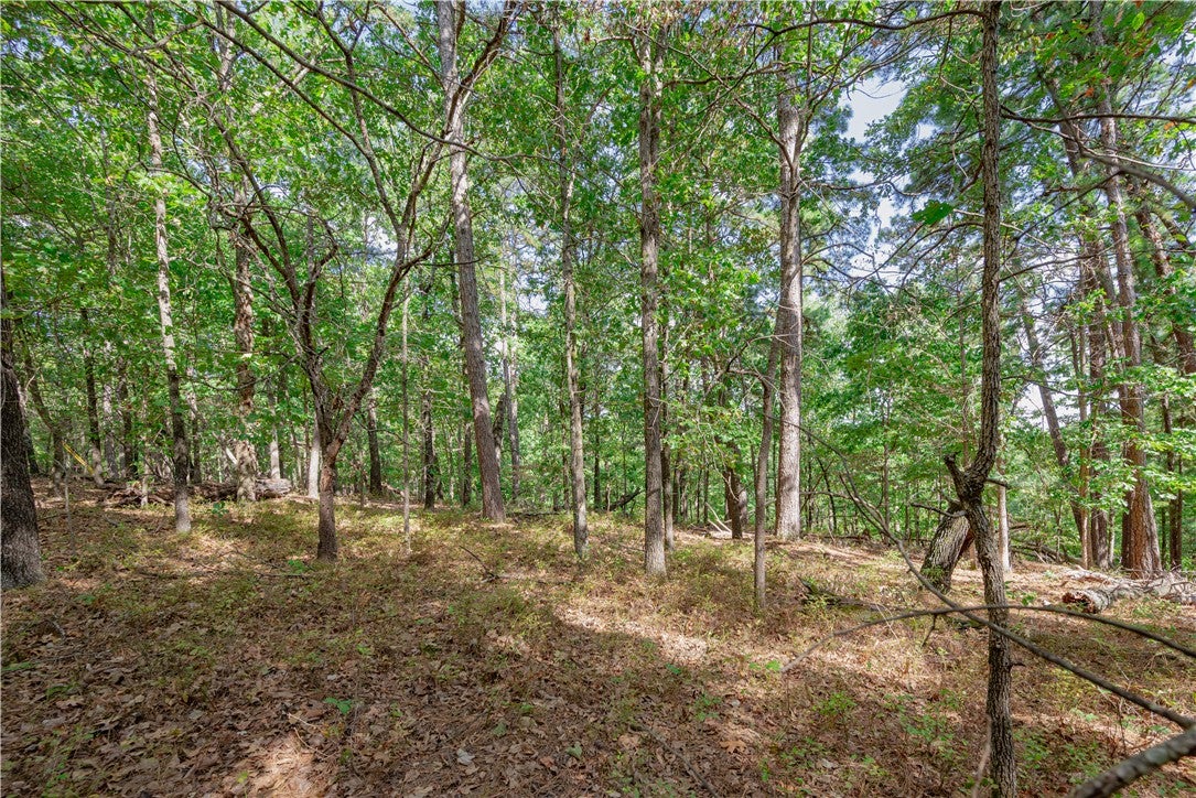 Deer Lake Drive - Photo 2