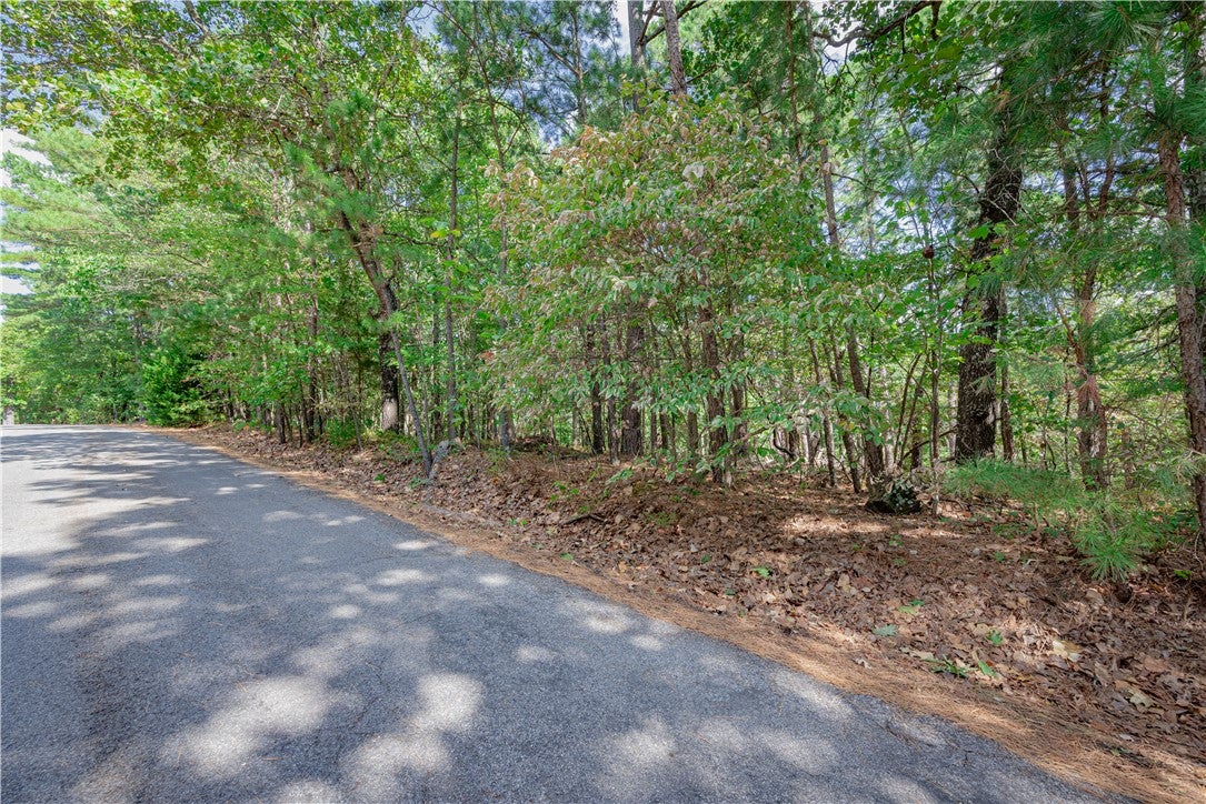 Deer Lake Drive - Photo 3