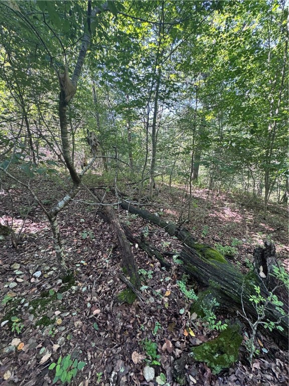Beautiful cul-de-sac lot is only blocks from Lake Brittany & close to the trailheads off the Back 40 right at the end of the dam. Close to the Metfield Clubhouse & minutes away from Pinion Creek Falls. With this property, enjoy membership to all 8 golf courses, 7 lakes, swimming pools, bike trails, recreation centers, shooting range, dining & much more! Immerse yourself in the natural beauty of the Bella Vista amenities & Recreation.