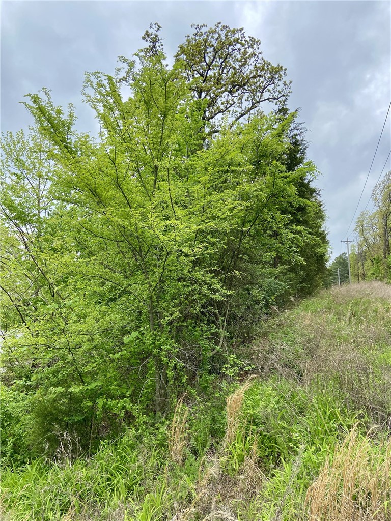 Fayetteville Outlots - Land