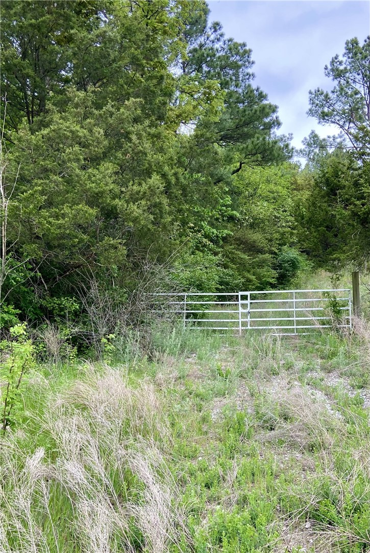 Fayetteville Outlots - Land