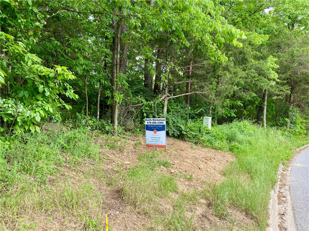 Fayetteville Outlots - Land