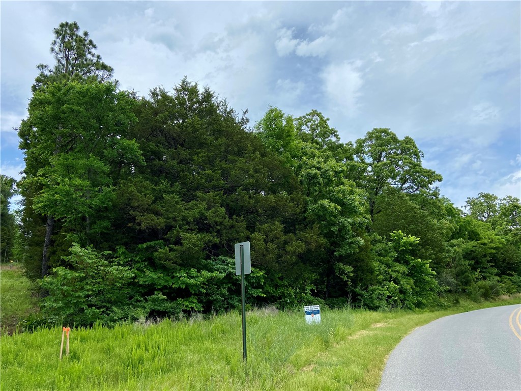 Fayetteville Outlots - Land