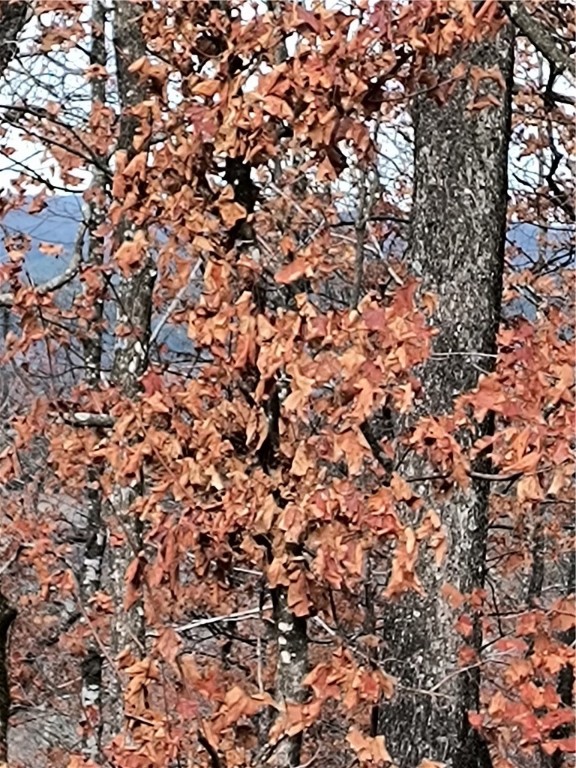 White River Estates - Land