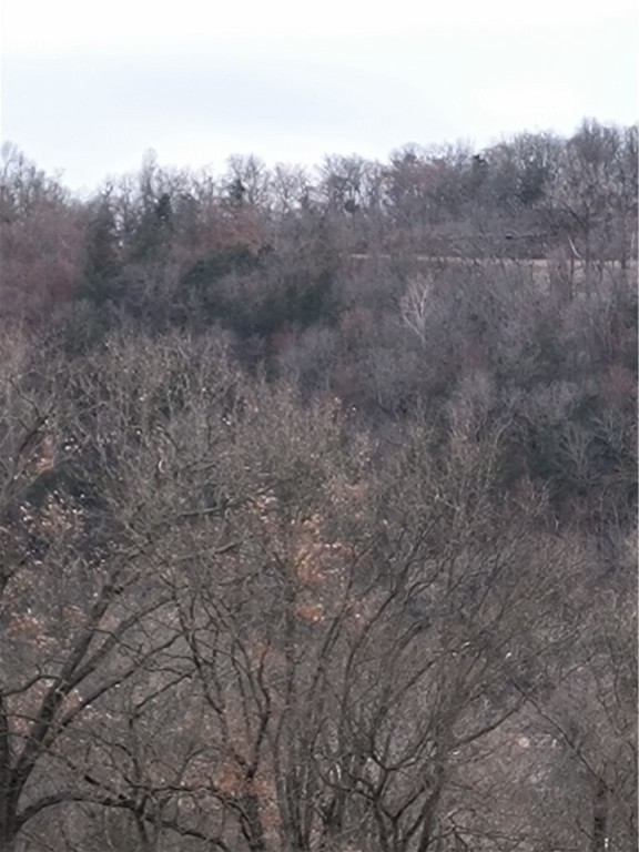 White River Estates - Land
