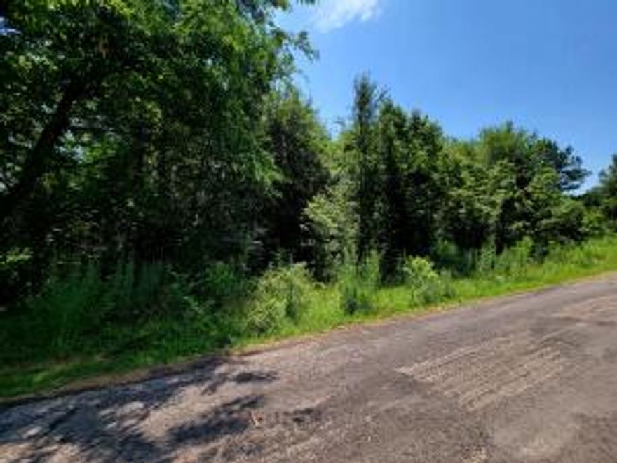 Check out this lot very near the primary school...1 acre, wooded and ready for a new owner! Great spot to build a new home. Only minutes from Dardanelle.