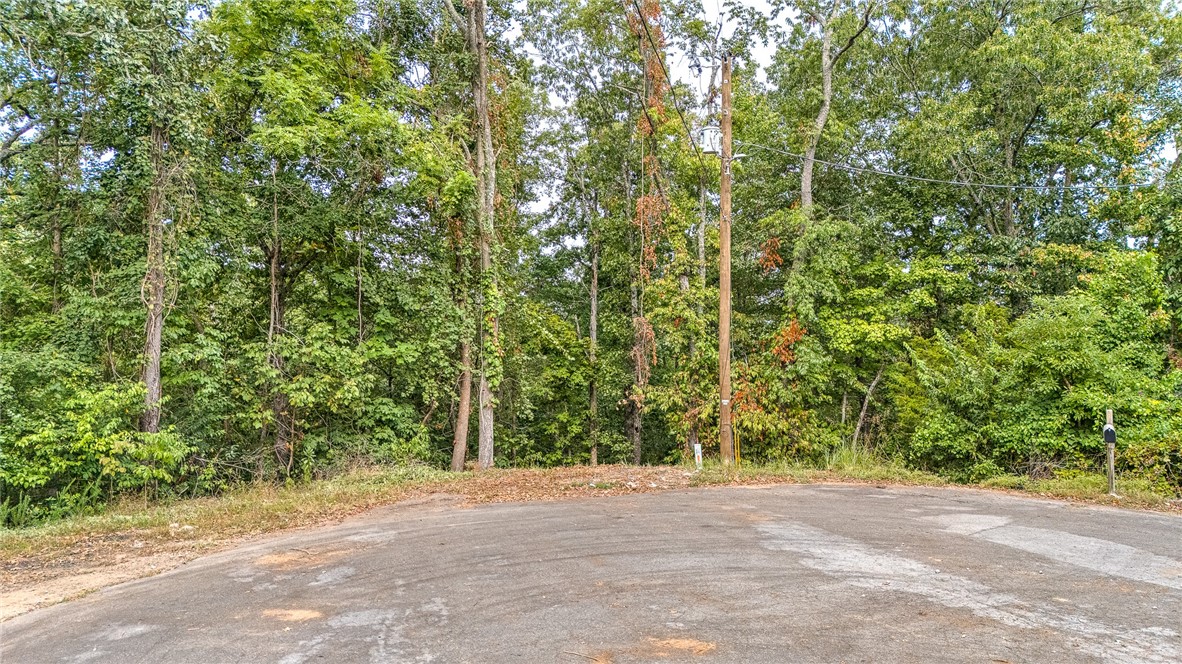 Discover the perfect spot to build your dream home in Bella Vista! This cul-de-sac lot offers peace, privacy, and a prime location surrounded by the natural beauty and amenities Bella Vista is famous for.
Step right out your back door near Bamboozled Trail, part of the extensive Bella Vista trail system, ideal for biking, hiking, and enjoying the outdoors. Also just minutes from Lake Avalon for fishing, kayaking, and swimming, and the highly regarded Scottsdale Golf Course. This property has been recently surveyed and includes a perc test approved for a 3ā4 bedroom home, making it ready for your builder and plans. Whether youāre envisioning a permanent residence, a vacation retreat, or a future investment, this lot provides the lifestyle and convenience buyers are searching for. Enjoy the benefits of Bella Vista POA amenities including golf, lakes, community centers, pools, fitness facilities, and more. Donāt miss this opportunity to own a build-ready lot in one of Northwest Arkansasās desirable communities!