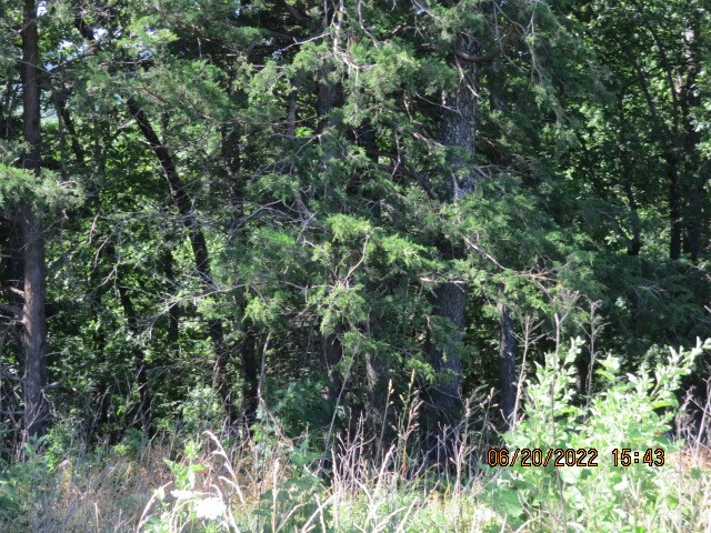 Mark Brewer I - Land