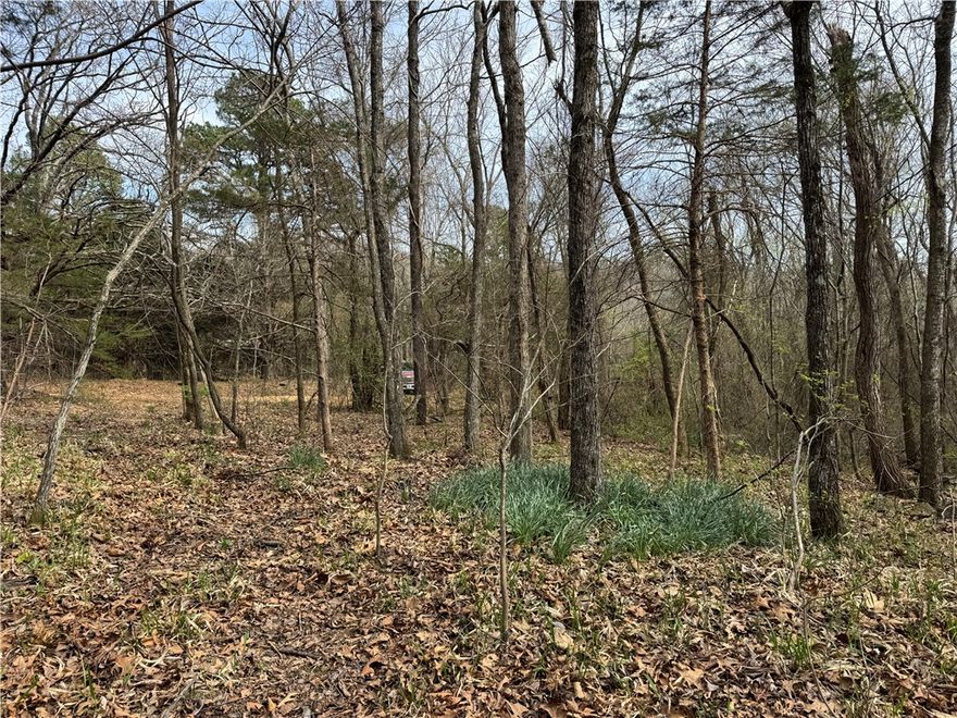 20 acres located in Elk Country of beautiful Newton County, Arkansas. This prime tract is located in the heart of the Ozark National Forest, Bear Cat Hollow WMA. Gene Rush WMA and Richland Creek Wilderness Area are just down the road. This region is managed for the state’s growing elk herd, offering a rare opportunity for landowners to apply for private land elk tags. The area is also well known for exceptional hunting opportunities with abundant black bear, trophy whitetail deer, and wild hog populations. Outdoor recreation opportunities are endless with both Richland Creek and the famous Buffalo National River just a short side-by-side ride away. The property features historic old rock walls along or near the boundary lines, adding character and a glimpse into the area's early settlement history. Several excellent building sites offer beautiful mountain views.