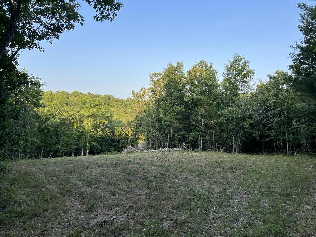 Come check out this 4.71 Acres m/l with large trees and nice cleared building sight. Drilled water well (no pump) and No Restrictions. The property is close to a Bear Creek access with fishing availability. This is a must see for a private home place to build.