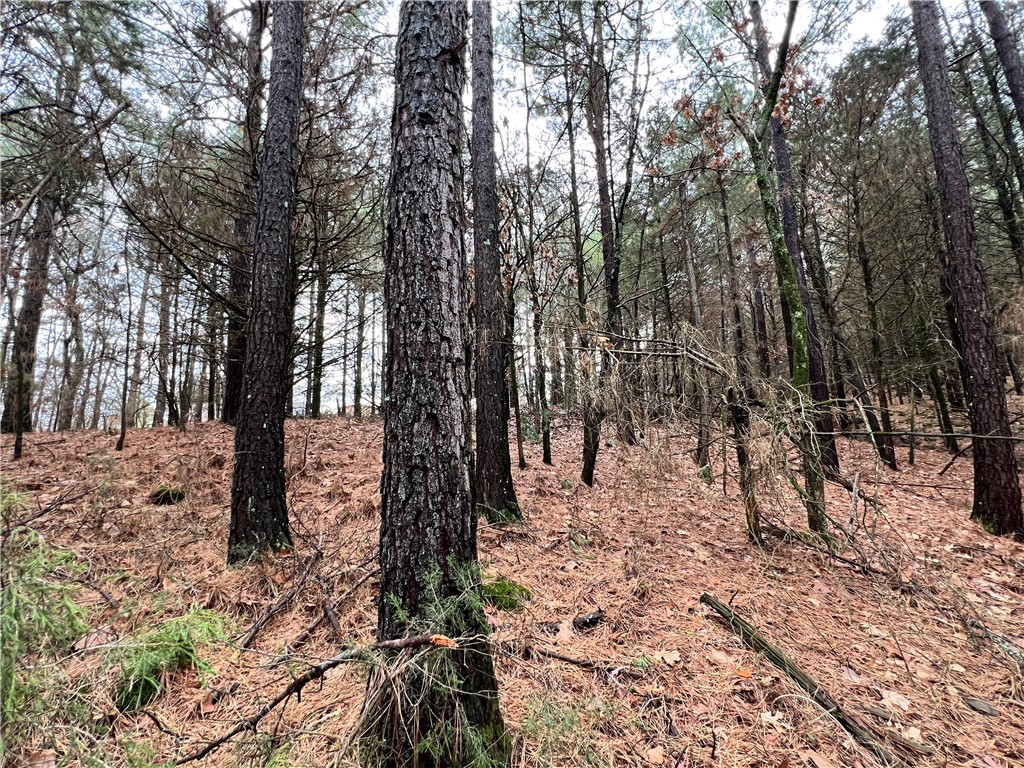 Beautiful 13.37 surveyed wooded acres in the heart of Huntsville. City water, sewer, fiber optic and power allow for a forever home, or development. Hard to find wooded seclusion in town that affords easy access to all amenities. Long view, wet weather creek, approximately 30 minutes to the Fayetteville/Springdale area. Book a showing today! Utility availability is the responsibility of the buyer or buyers agent.