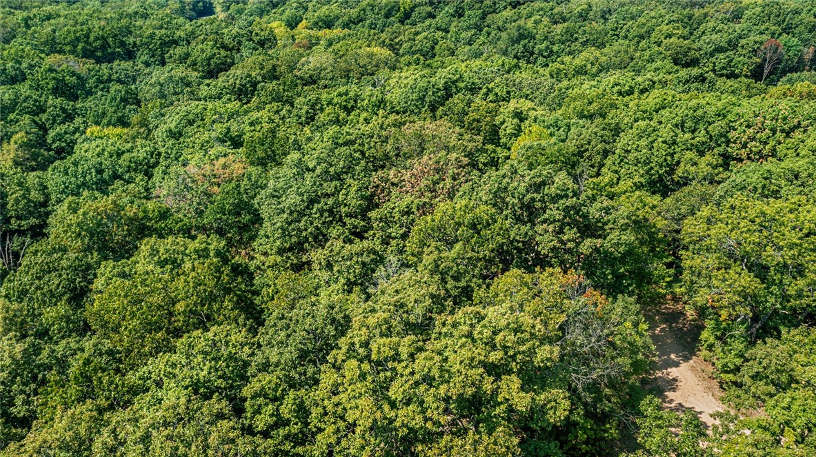 Exminster Sub Bvv - Land