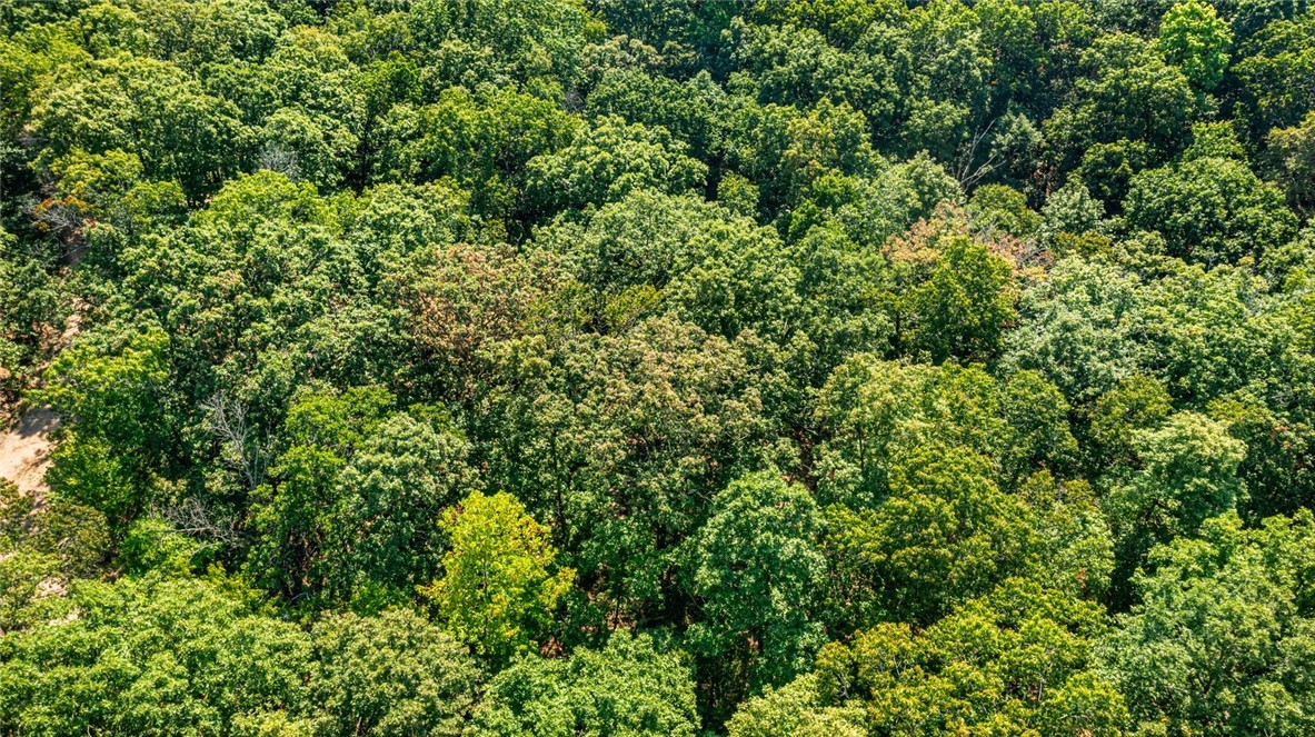 Exminster Sub Bvv - Land