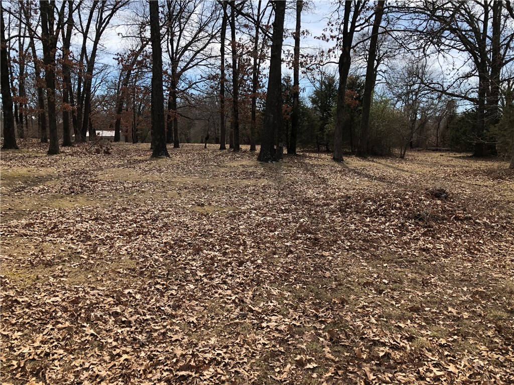 22-19-30 Rogers - Land