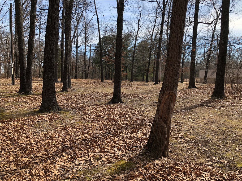 22-19-30 Rogers - Land