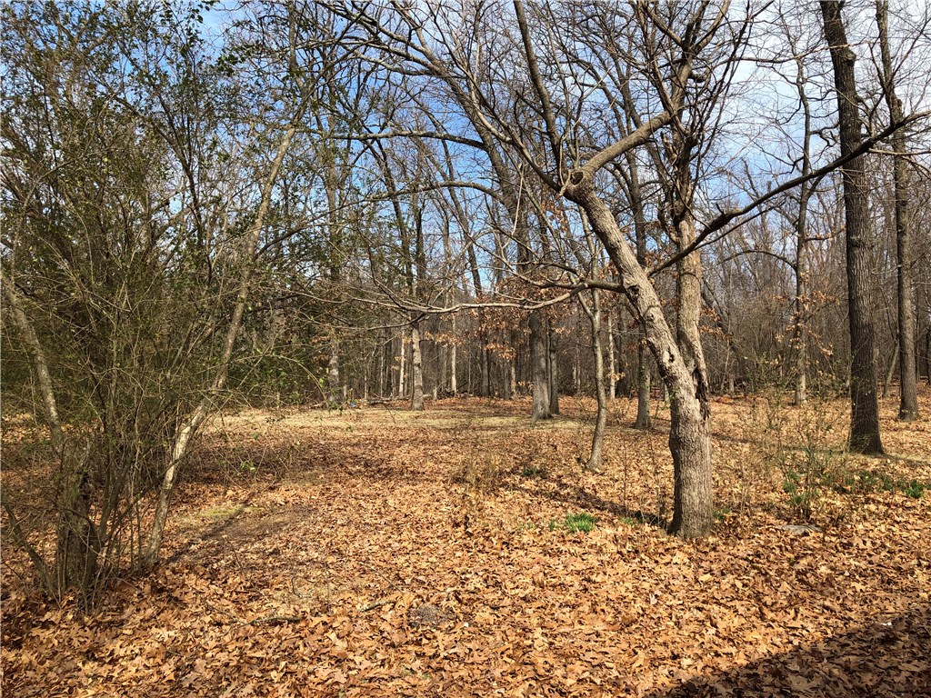 22-19-30 Rogers - Land