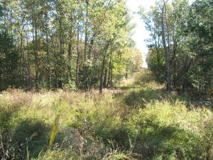 Neat wooded home site on pavement approx. 10 minutes from Wal-Mart. Have buyer confirm availability of utilities.