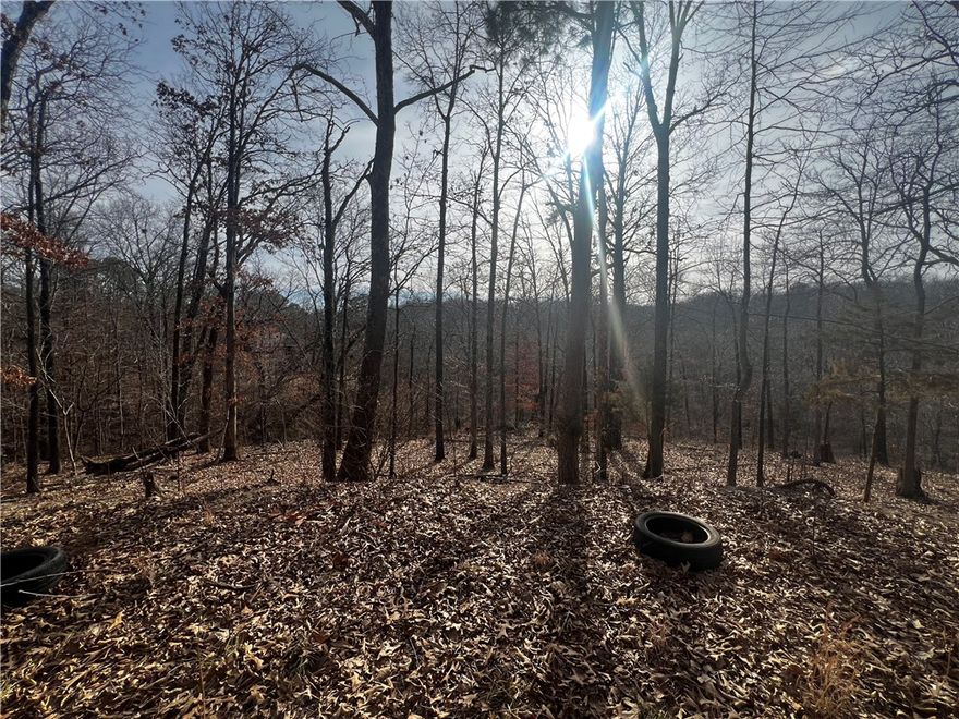 Build your dream home on Lot 24, Block 4 on Lune Lane in beautiful Bella Vista, Arkansas. Nestled in a peaceful, wooded setting, this lot offers the perfect blend of privacy and access to premier community amenities. Enjoy nearby golf courses, scenic lakes like Lake Windsor, and miles of biking and hiking trails throughout the Bella Vista Trail System. Just minutes away, explore Bentonville and visit the renowned Crystal Bridges Museum of Art, along with vibrant dining, shopping, and entertainment. Whether you're building a primary residence, vacation retreat, or investment property, this lot offers an incredible opportunity to enjoy the best of Northwest Arkansas living.