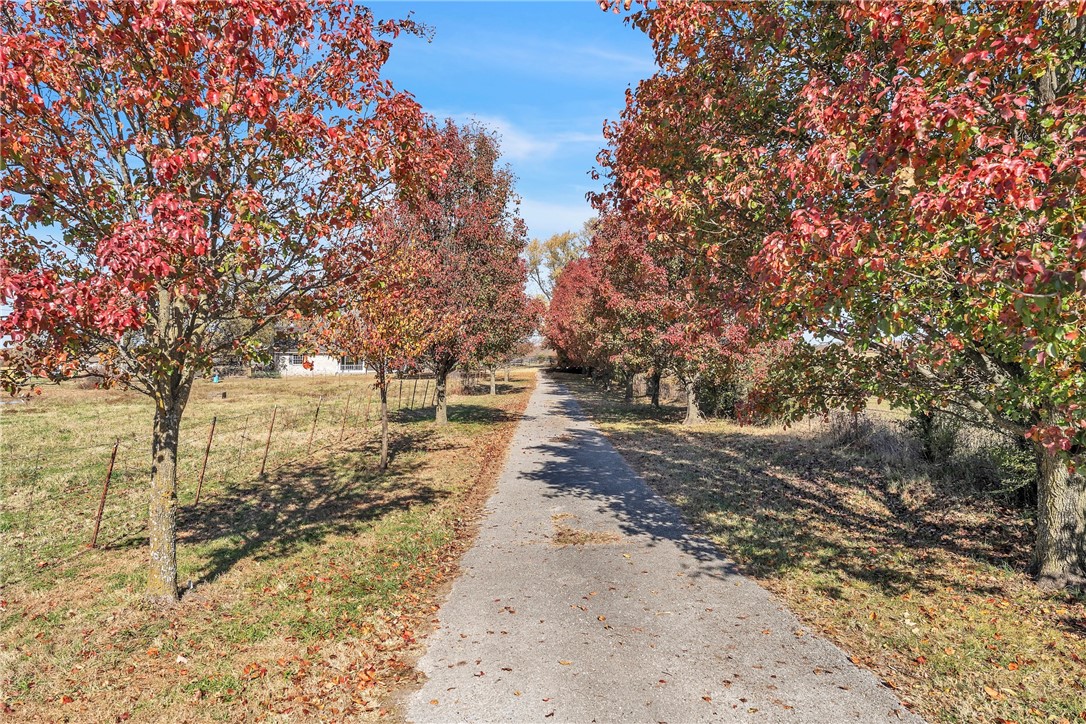 Bosco Sub - Residential