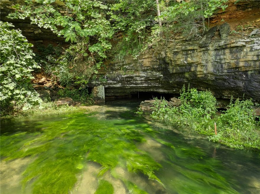 You have options with this one!!! 20.69 ac m/l of both cleared land and hardwood, paved road access and a cave where Bear Creek begins its year round journey all the way to Bull Shoals Lake. It has some infrastructure already in place to make adjusting water levels to the onsite trout farm that much easier. The building currently being used as a restaurant has almost 5200 sq ft (top&bottom) and can be split into two separate spaces fairly easily. Being only 30 minutes to Branson, MO, a little over an hour to Northwest Arkansas and about 30 minutes to the Buffalo National River, this property has a lot of options.