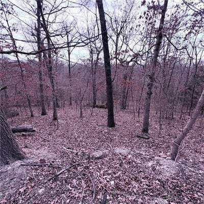 12 HOYER LN, BELLA VISTA, AR 72714 - Image 2eef1d78e2b8d409f7e32b2c03b772fb/1288023464