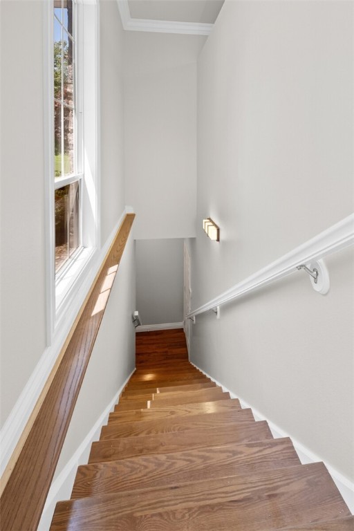 Paramount Estates Rurban - Residential