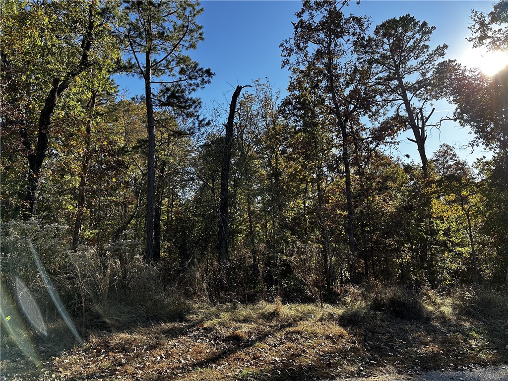 This .27-acre residential lot presents a fantastic opportunity to build your dream home in the beautiful Bella Vista, Arkansas. The property offers a sense of privacy, surrounded by a serene wooded landscape. Located in this sought-after community, you'll have access to the amenities and natural beauty that Bella Vista is known for. Whether you're looking to build your own home or seeking an investment in this desirable area, this lot is a great opportunity. Don't miss out - schedule a showing today!