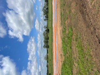 Check's Corner - Land