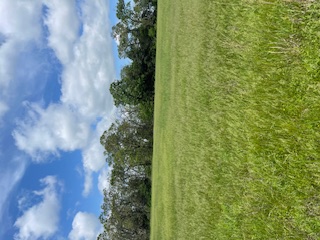 Check's Corner - Land