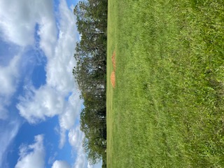 Check's Corner - Land