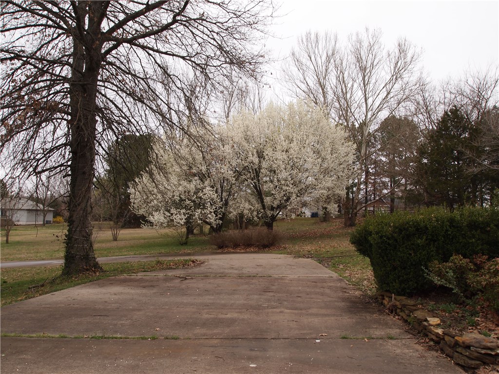 Sycamore Heights Add Bentonville - Residential