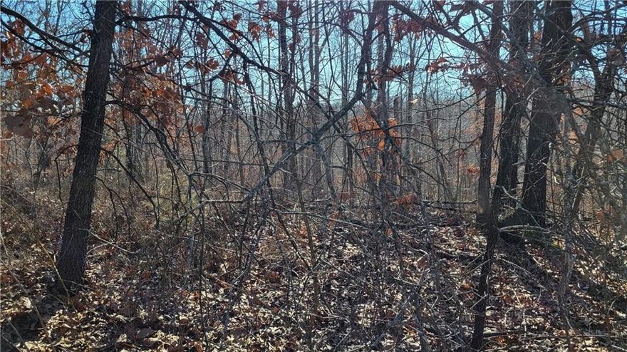 Discover the perfect spot to build your dream home in Bella Vista, Arkansas. This elevated lot offers sweeping views that will serve as an incredible backdrop for your future residence. Enjoy the best of both worlds with easy access to bike trails, golf courses, and tranquil lakes, all while being part of a growing community of new homes. Whether you're drawn to the natural beauty of the area or the active lifestyle it supports, this lot presents an unbeatable opportunity to create a home that fits your vision. Don’t miss your chance to make this beautiful location yours.
