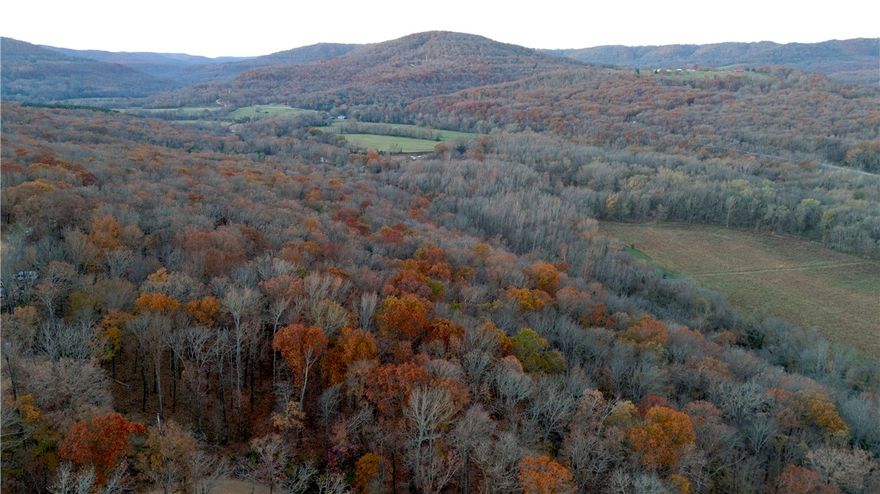 If you’ve been dreaming of a quiet place in the mountains with room to breathe, this 11.3± acre tract in the Crosses community is the real deal. Tucked back off a private road, it offers privacy, on-site electricity through Ozarks Electric, and OzarksGo high speed internet availability. A rough-cut driveway leads to a cleared, west-facing building spot with views of the valley below—perfect for taking in those Ozark Mountain sunsets and ideal for a cabin or full-time home.
Enjoy access to a 22 +/- acre shared recreation area on the White River, exclusive to River Meadows owners, featuring over half a mile of water frontage, trails, fishing spots, swimming areas, and places to relax. The river access is just a short drive which makes for a quick trip by truck or ATV.
You're minutes from the Pigtrail Bypass Café, Combs Store, Mill Creek OHV Trailhead, hiking, and the Ozark National Forest. Only 20 minutes to Elkins, under 30 minutes to Fayetteville, and less than 15 minutes to Hwy 23 and the Pig Trail Scenic Byway.