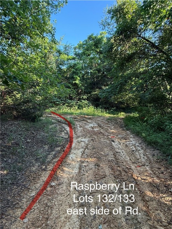 Posy Mountain Ranch Unit 6 Rurban - Land
