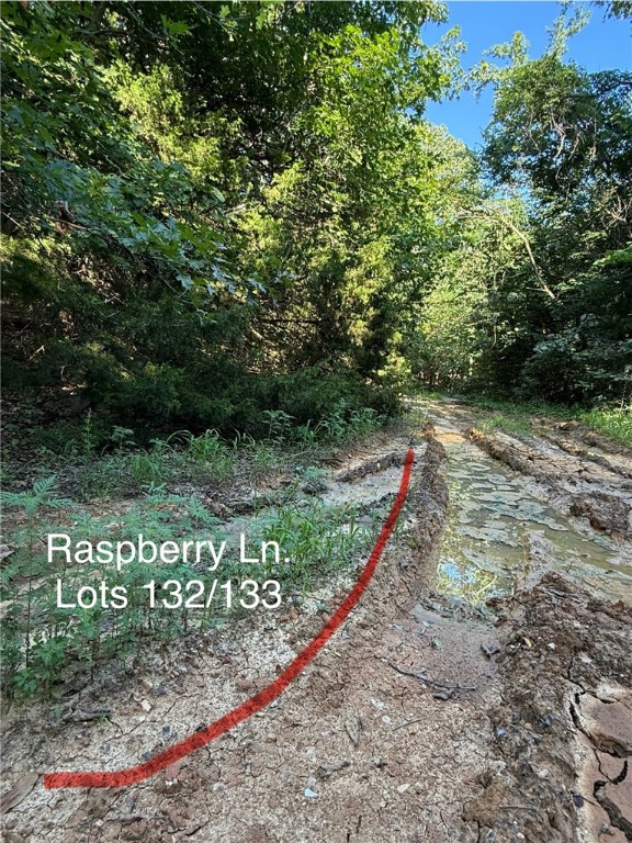 Posy Mountain Ranch Unit 6 Rurban - Land