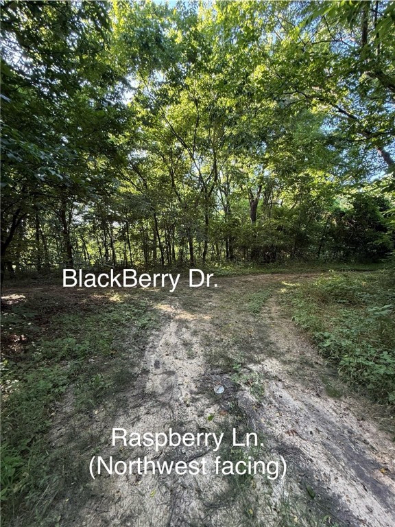 Posy Mountain Ranch Unit 6 Rurban - Land