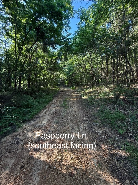 Posy Mountain Ranch Unit 6 Rurban - Land