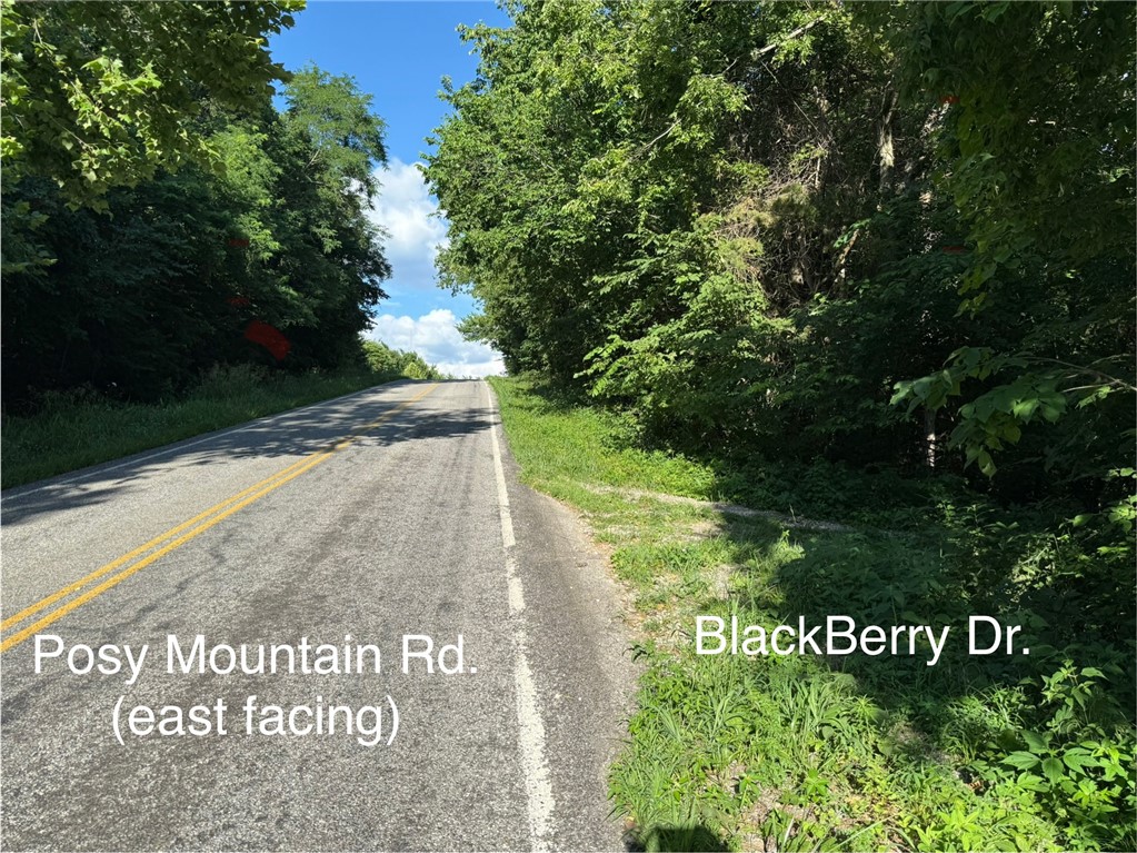 Posy Mountain Ranch Unit 6 Rurban - Land