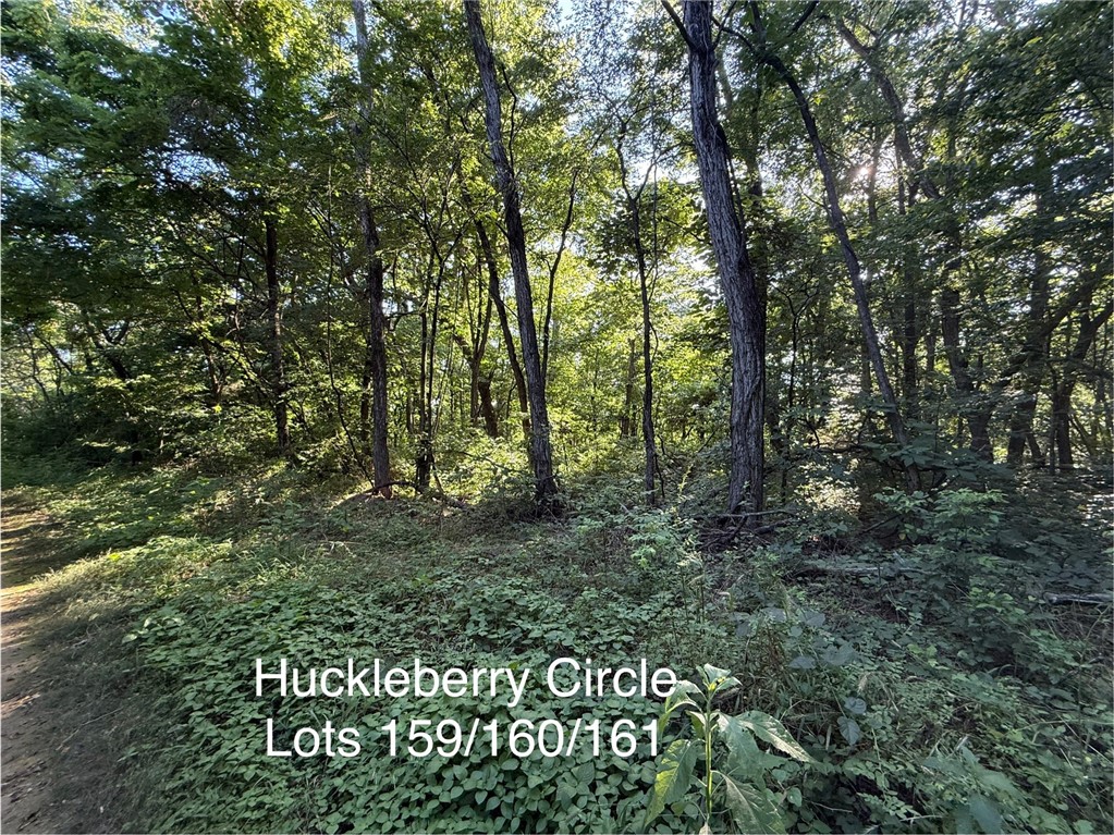 Posy Mountain Ranch Unit 6 Rurban - Land