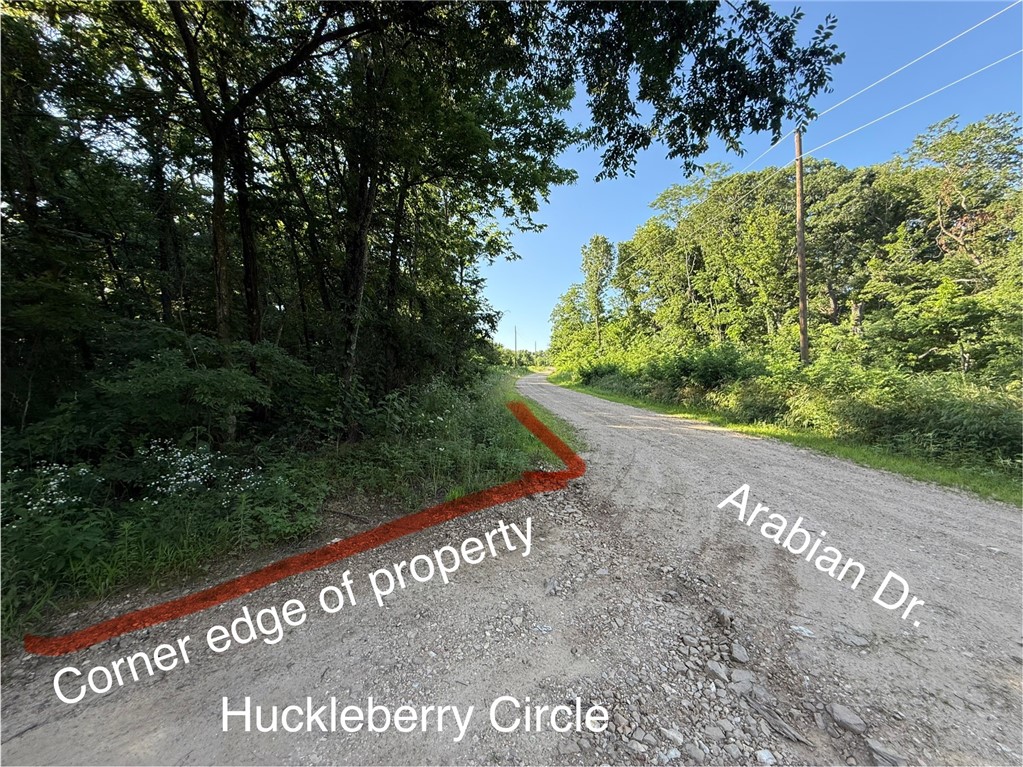 Posy Mountain Ranch Unit 6 Rurban - Land
