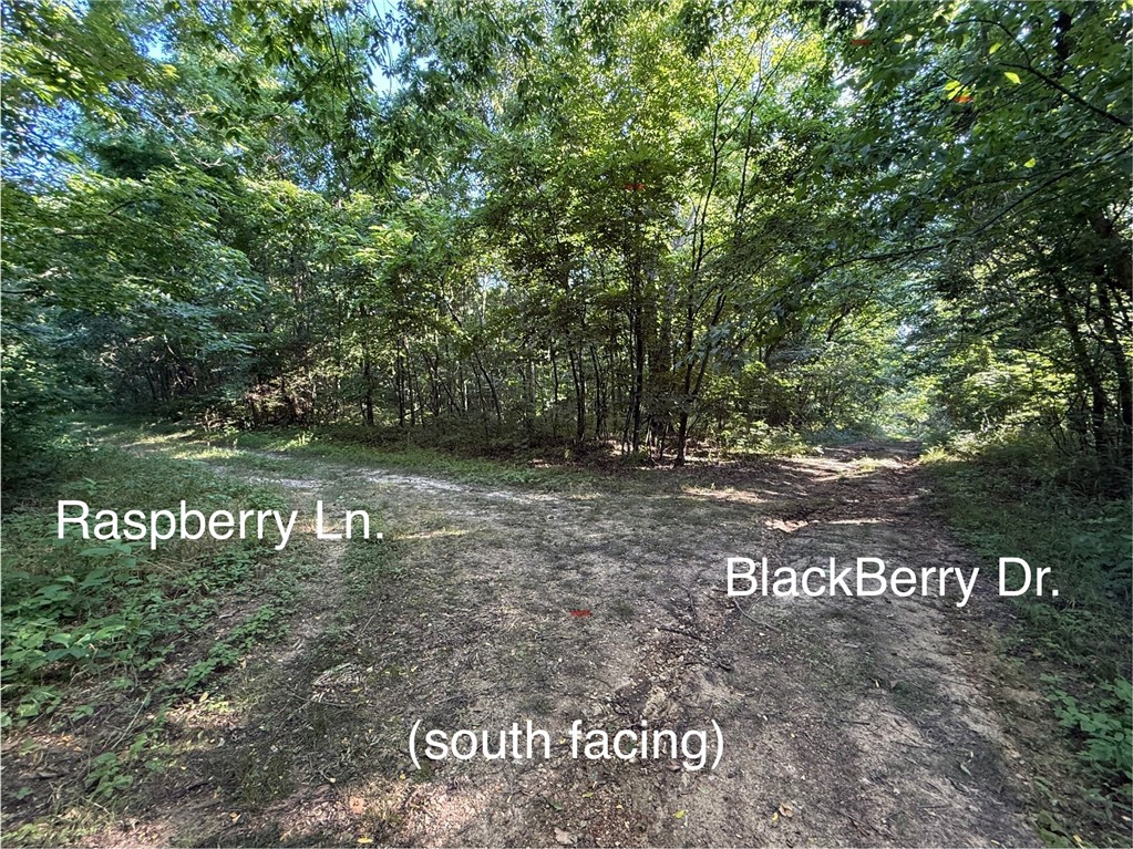 Posy Mountain Ranch Unit 6 Rurban - Land